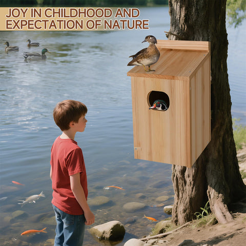Amcortn Duck House installation view demonstrates simple mounting.