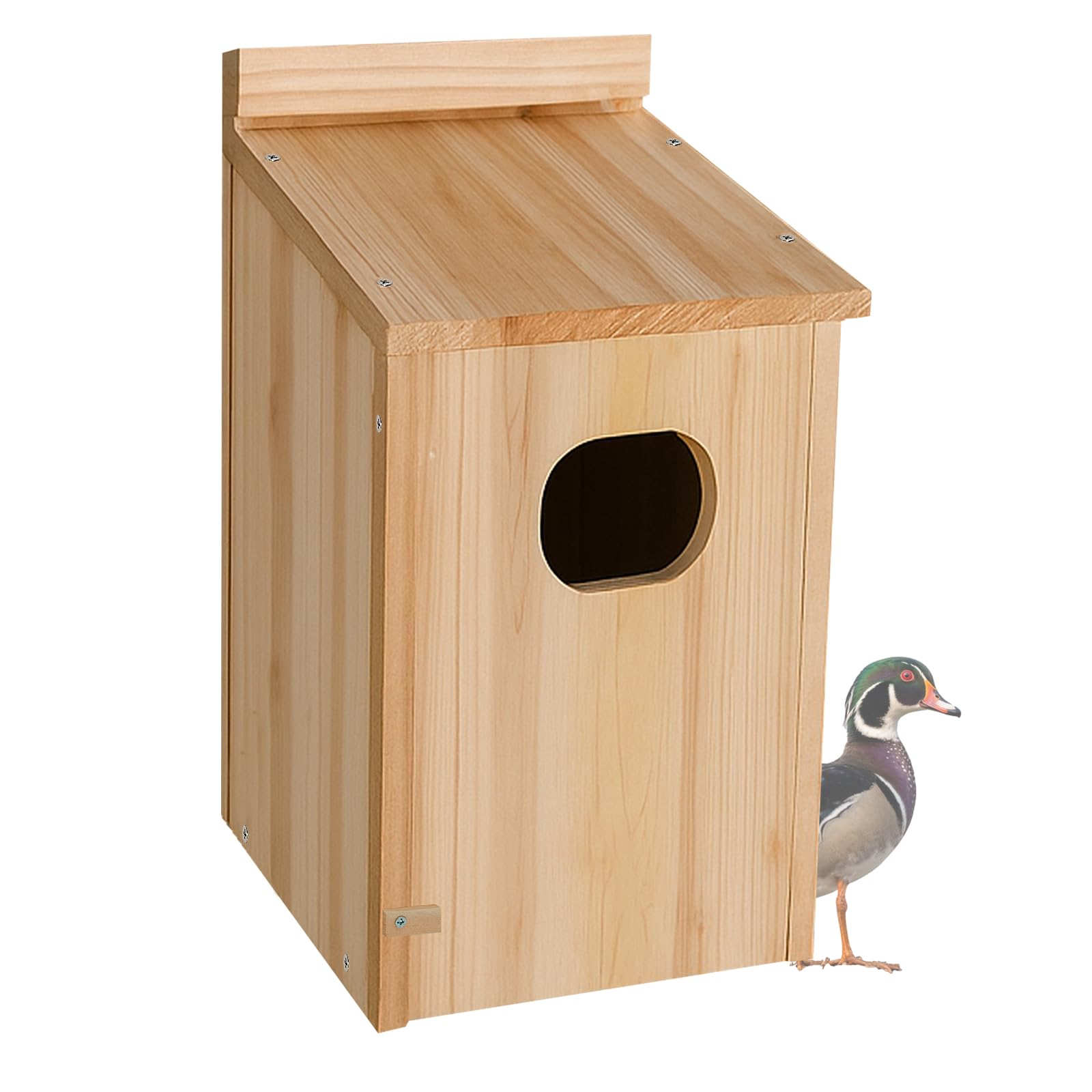 Amcortn Duck House exterior shows durable wood for outdoor resilience.