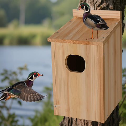 Amcortn Duck House gift-ready packaging appeals to nature lovers.