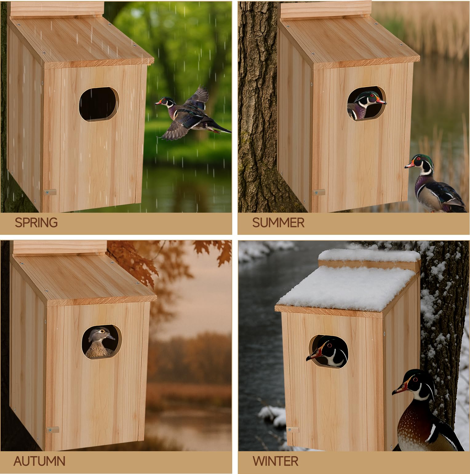 Amcortn Duck House ladder grooves aid duckling exit.