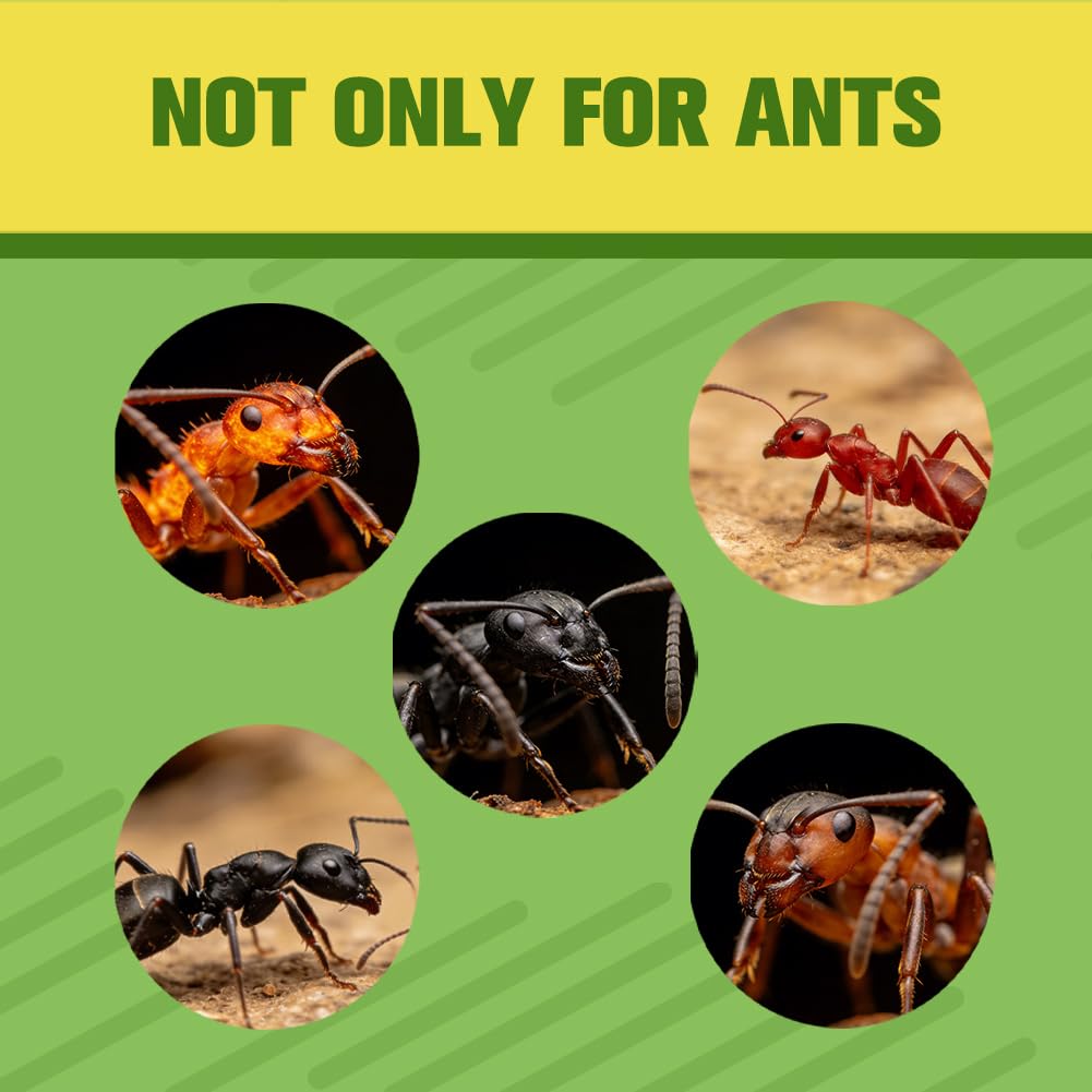 AMDEIUR Ant Repellent along entryways disrupts ant paths effectively
