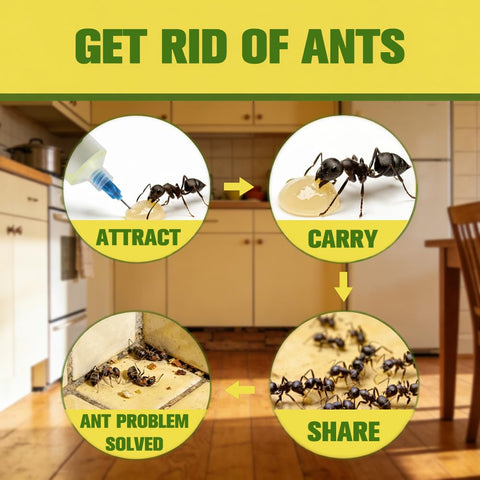AMDEIUR Ant Repellent is pet-friendly when used as directed