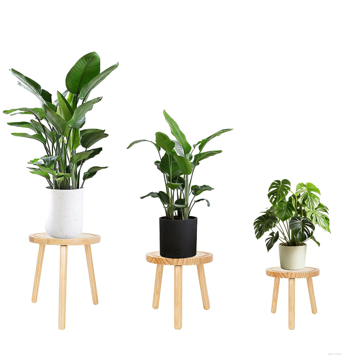 Amdermi 3-pack wood plant stand, 11h-11d, ideal for corner display and large pots