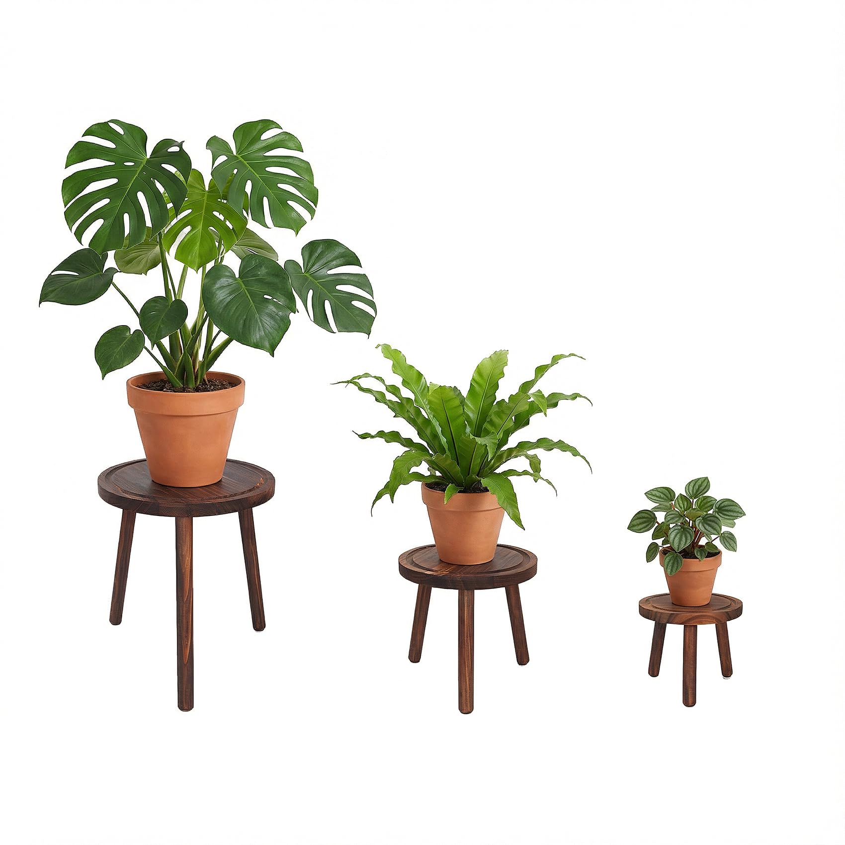 Amdermi 3-Pack wood plant stands show quick, tool-free assembly for indoor displays.
