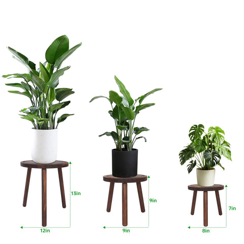 Amdermi wood plant stand triangle base highlights sturdy support for large pots.
