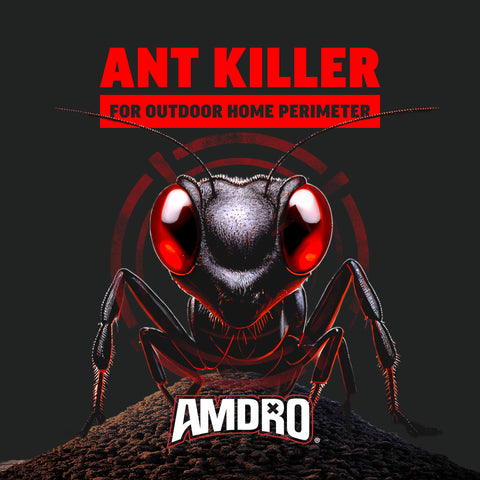 Lawn and garden borders treated with Amdro for ant control.