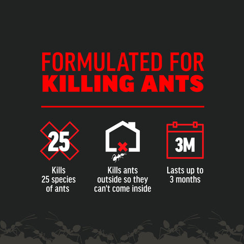 Packaging display of Amdro Ant Killer with usage guidance.