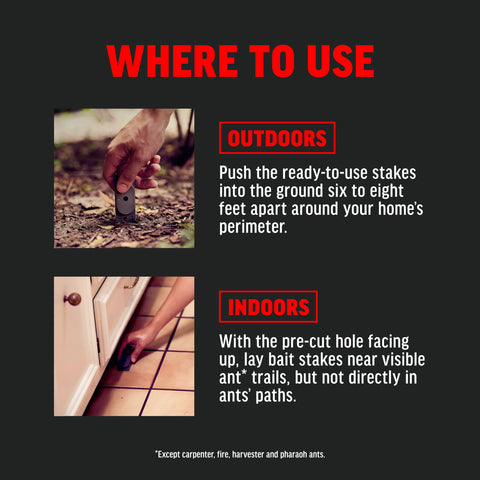 Amdro easy-to-place bait stakes simplify DIY ant control.