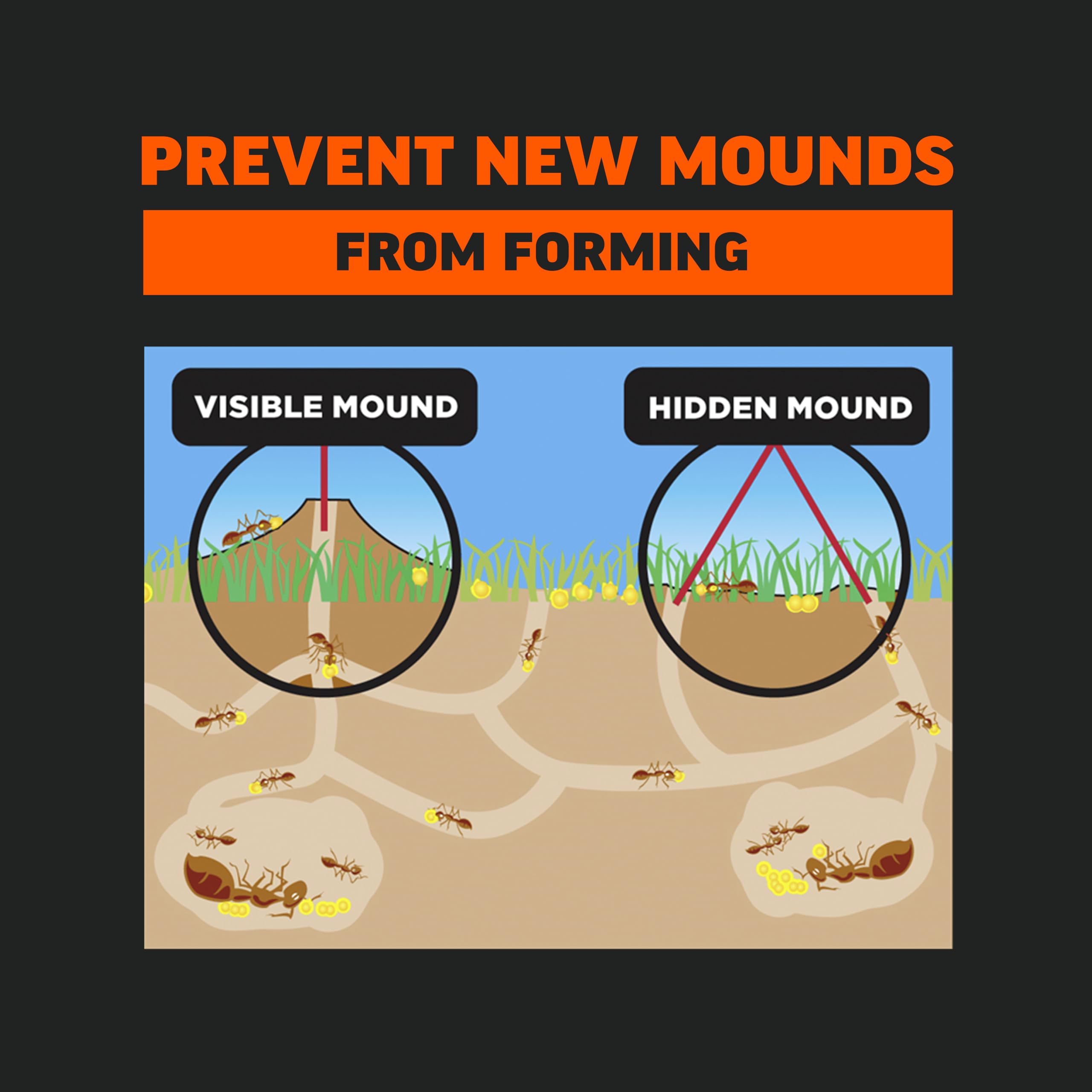 Amdro Fire Ant Killer is applied in early morning when ants are active.