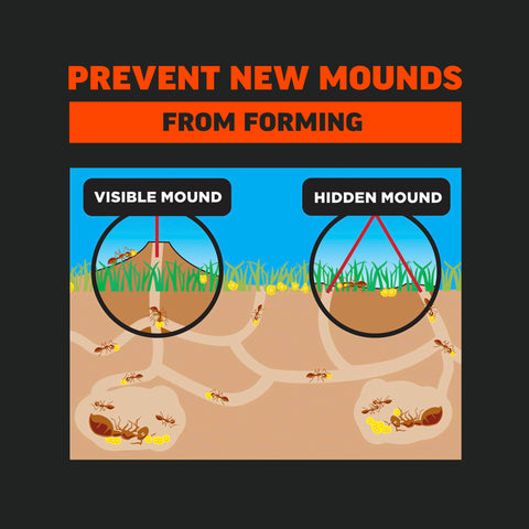 Amdro Fire Ant Killer is applied in early morning when ants are active.