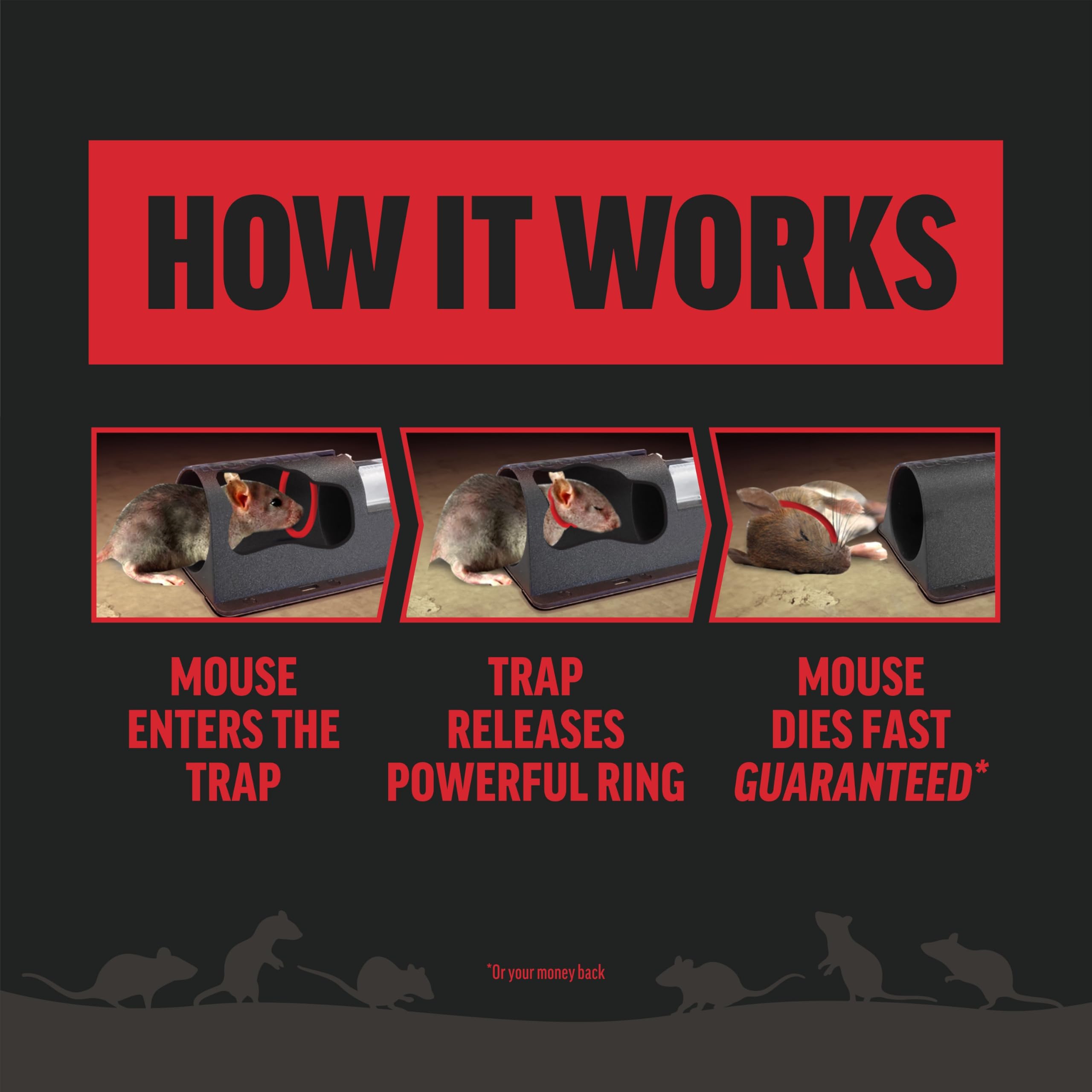 Amdro Mouse Trap Plum in-use capture demonstrates quick, mess-free use.