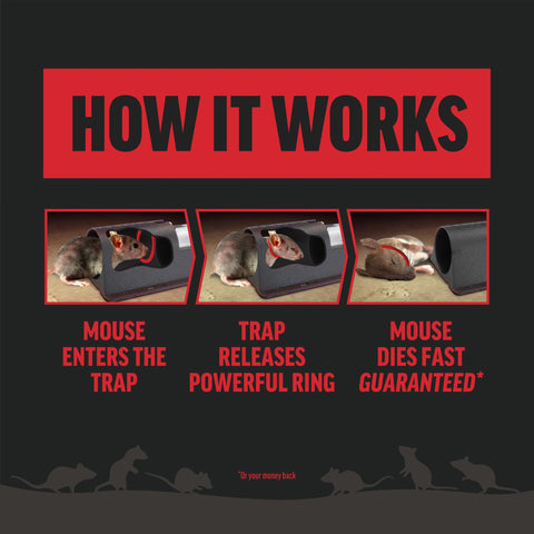 Amdro Mouse Trap Plum in-use capture demonstrates quick, mess-free use.