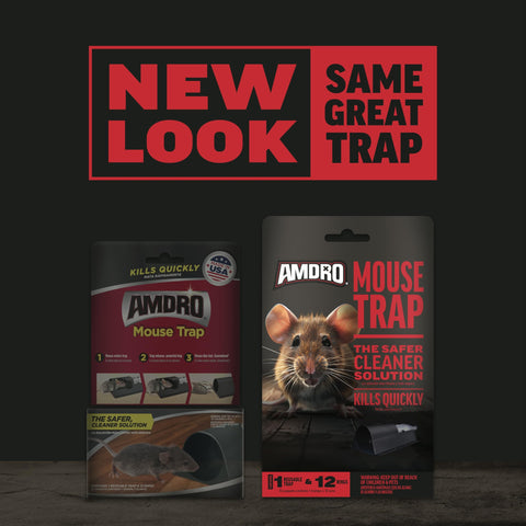 Amdro Mouse Trap Plum lure-compartment view emphasizes attractant for effective capture.