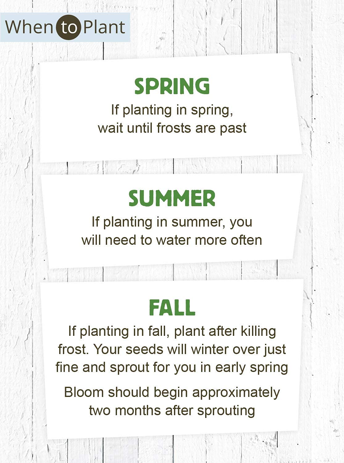 American Meadows garden-ready seed packet demonstrates easy planting and growth.