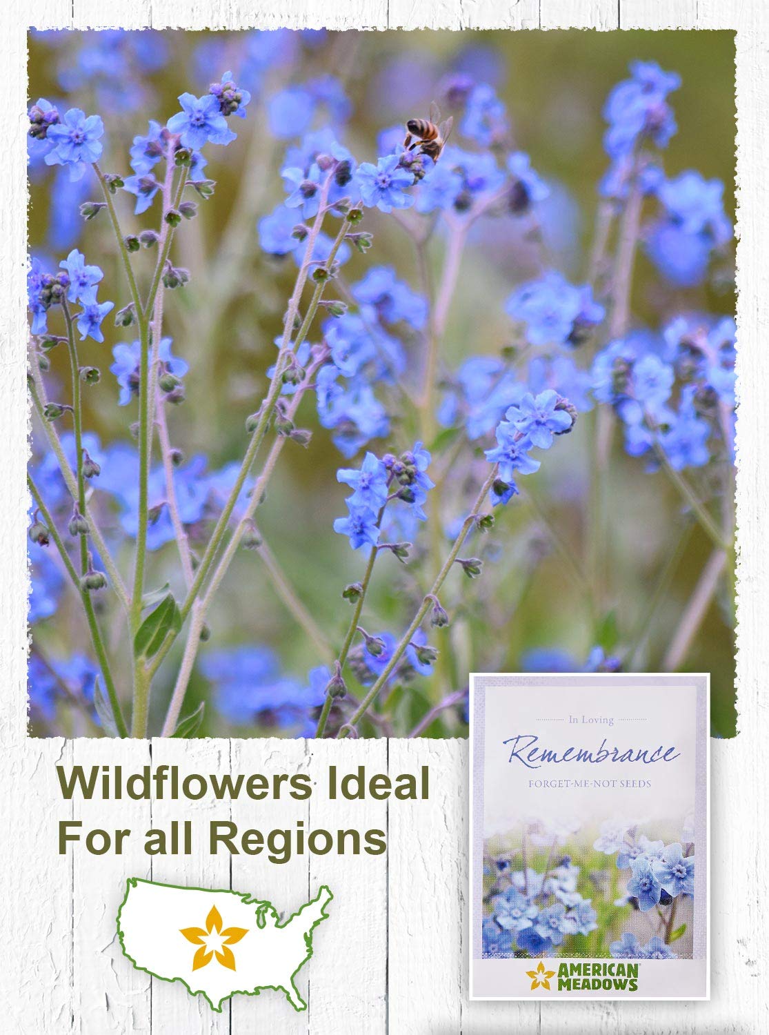 American Meadows seed packets ready-to-plant for colorful, low-maintenance gardens.