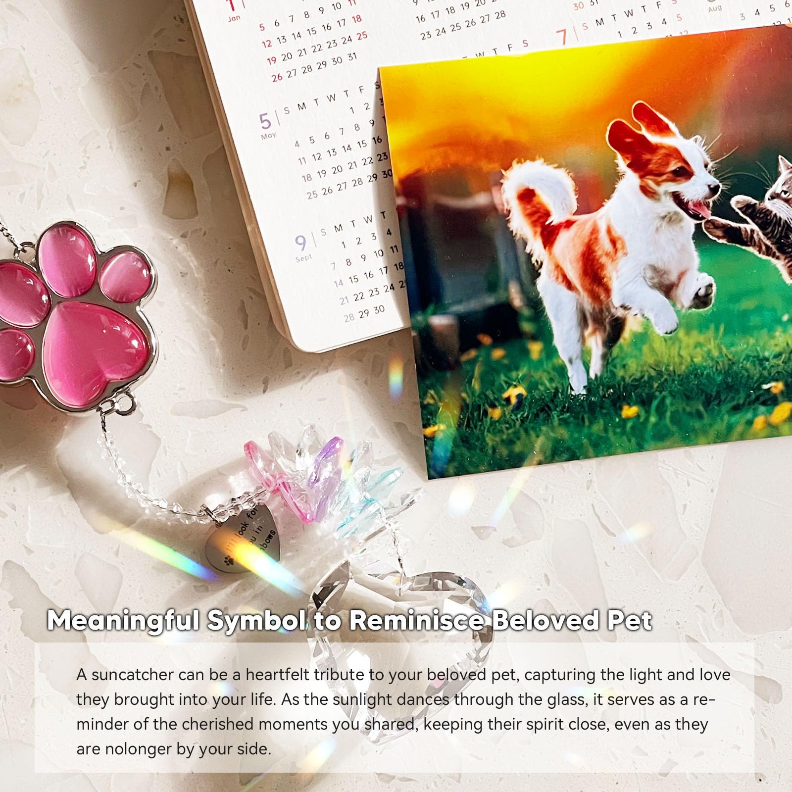 AMETHUARTZ paw charm bathed in vibrant prismatic colors