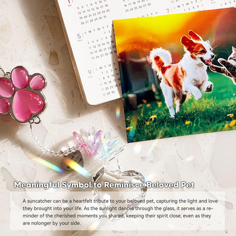 AMETHUARTZ paw charm bathed in vibrant prismatic colors