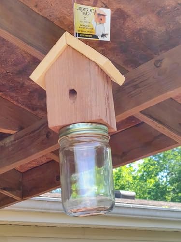 Amish-made cedar trap close-up emphasizes natural, rot-resistant cedar material.