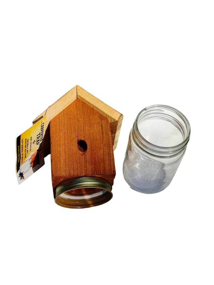 Amish-made trap hanging under eaves for targeted carpenter bee protection.