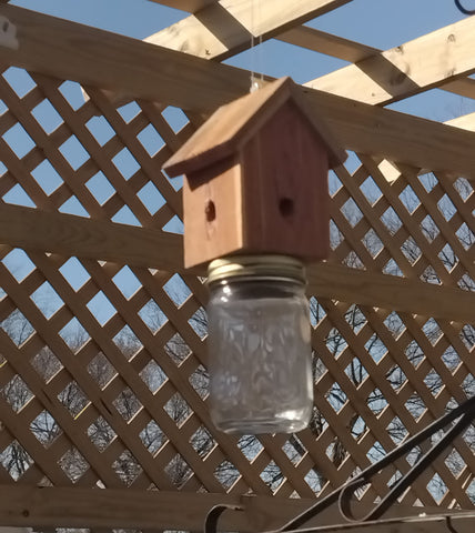 Amish-made trap appears rustic and durable, blending with outdoor cedar surroundings.