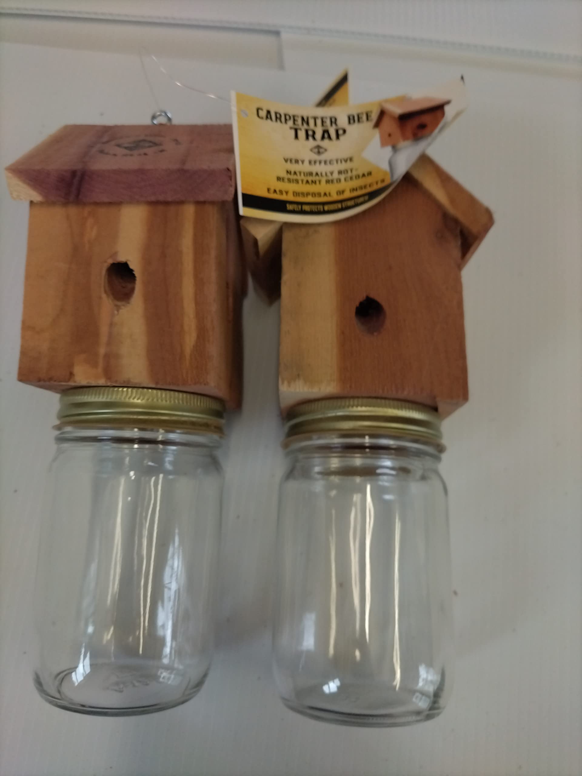 Amish-made wood carpenter bee trap outdoor hanging protects wood structures.