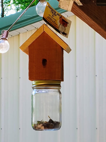 Amish-made wood carpenter bee trap sunlit cedar.