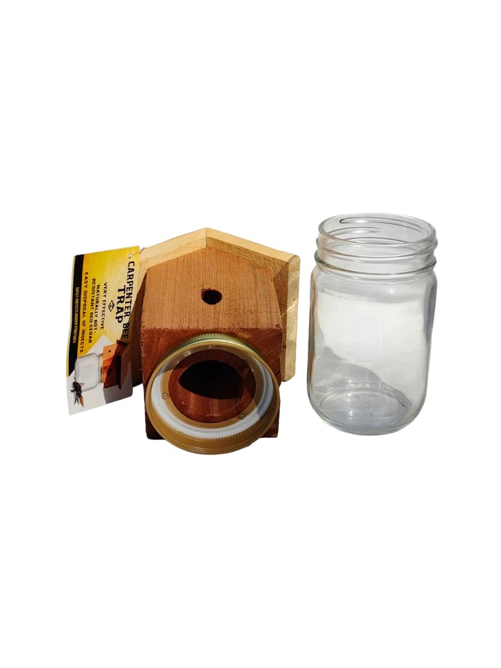 Amish-made wooden trap keeps kids and pets safe while deterring carpenter bees.