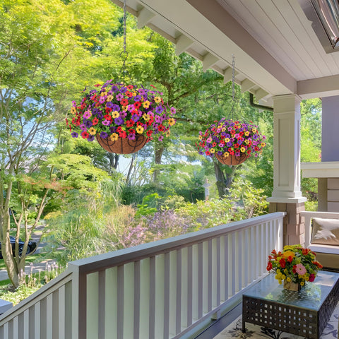 Ammyoo outdoor decoration that needs no watering or direct sunlight.