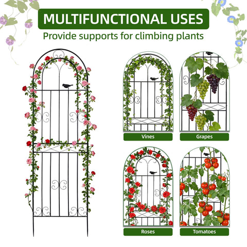 Amoskey 2-pack trellis enhances outdoor decor with elegant vertical planting structure.