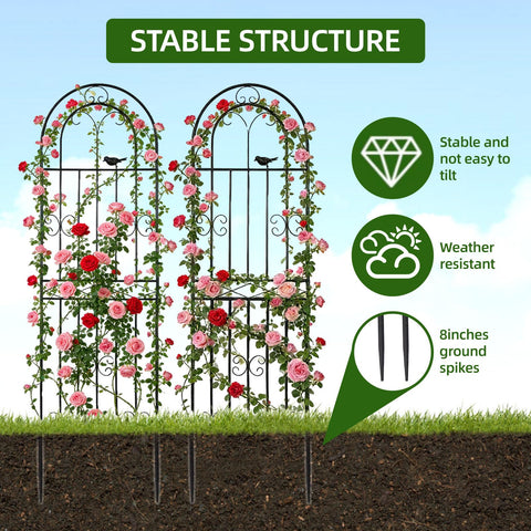 Amoskey weather-resistant trellis withstands seasonal rain and snow, keeping plants supported.