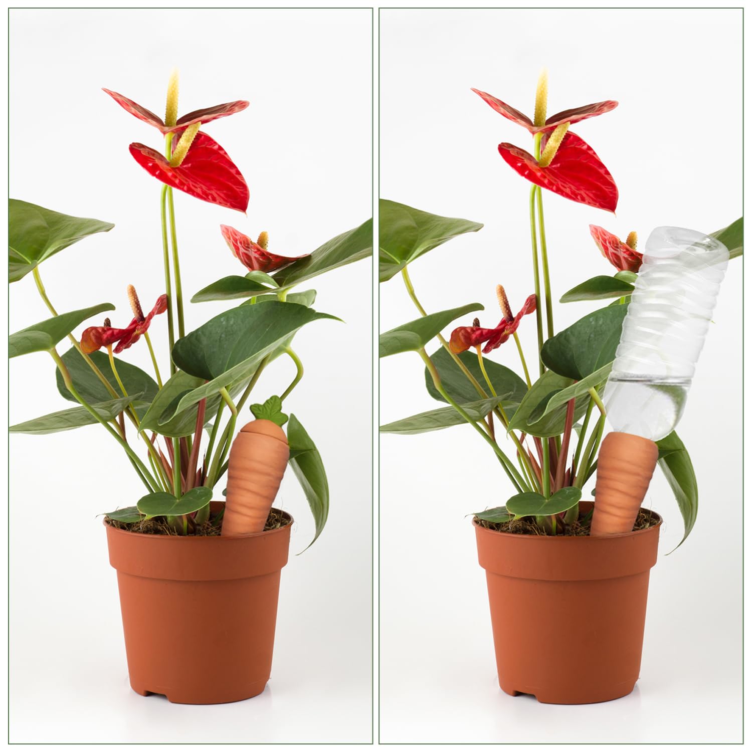 Amoyls terracotta spikes are durable and long lasting for daily use
