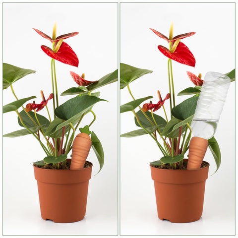 Amoyls terracotta spikes are durable and long lasting for daily use