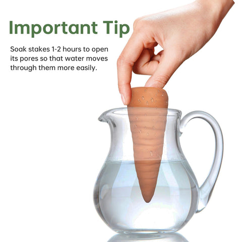 Amoyls terracotta spike easy to install and setup for reliable watering