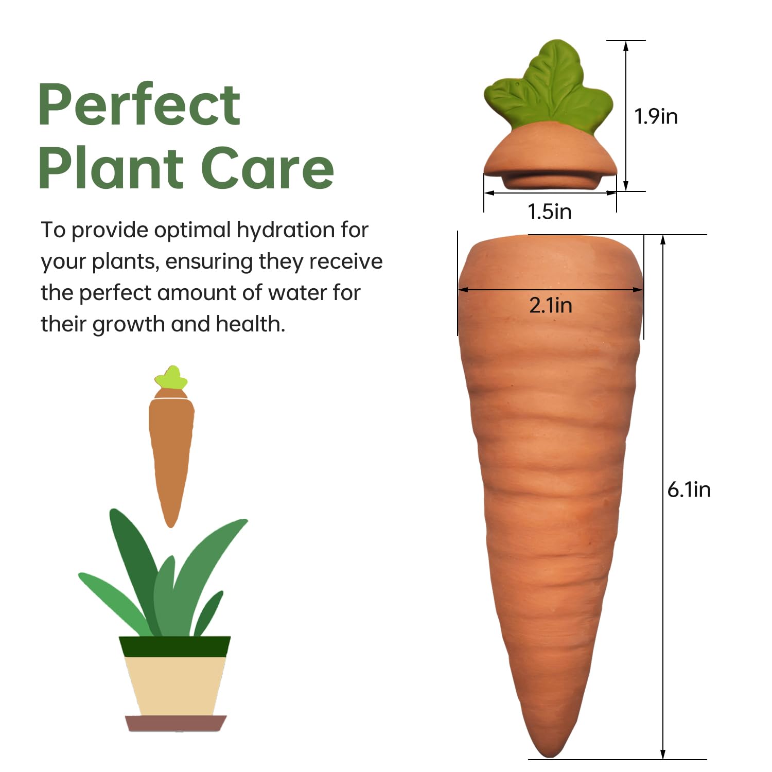 Amoyls vacation use spikes keeping plants watered while away