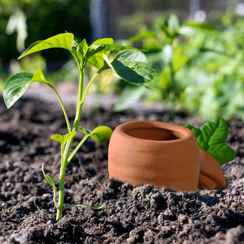 Amoyls wine bottle compatible spikes simplify refills for planters