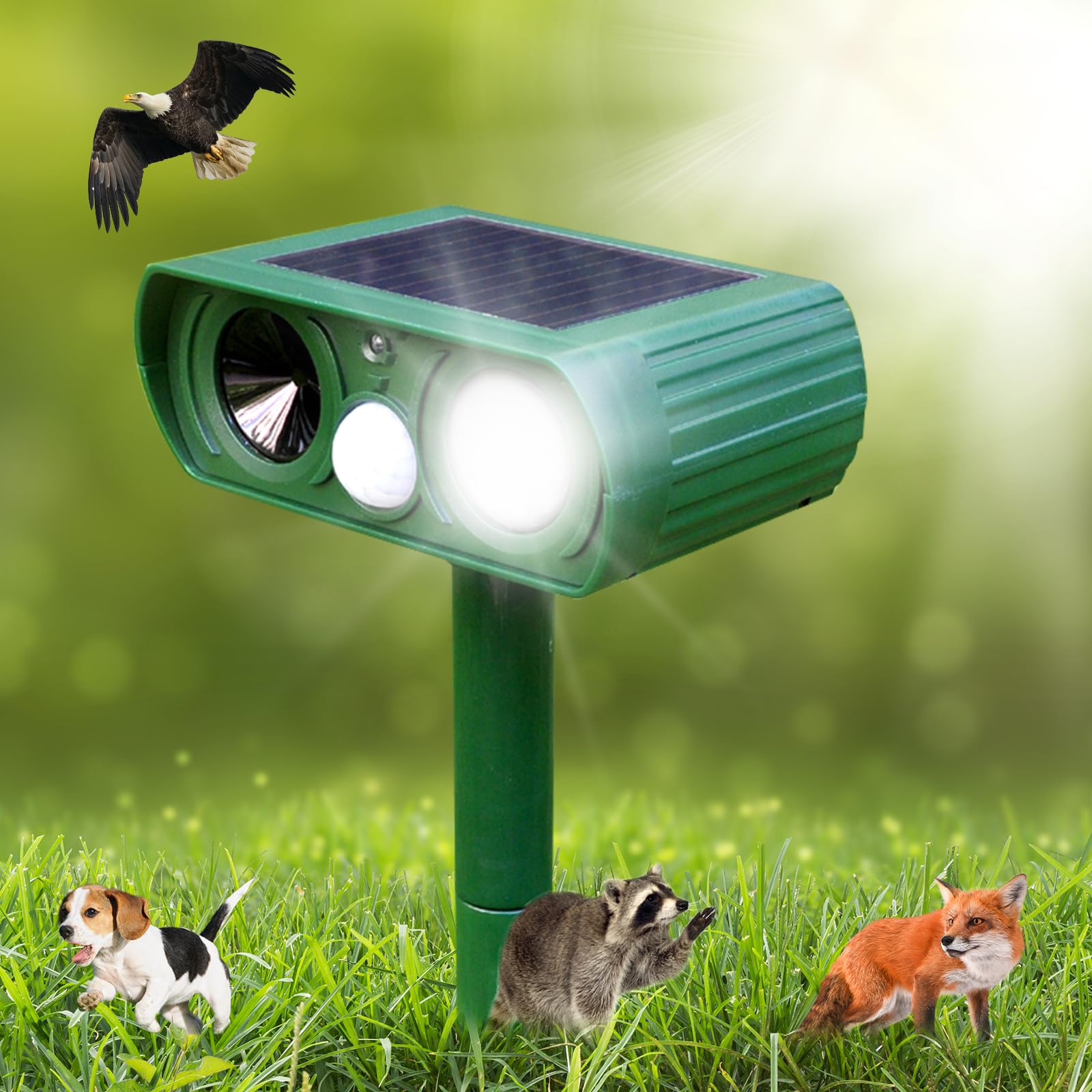 Amsqto solar ultrasonic repeller front view protects gardens from pests.