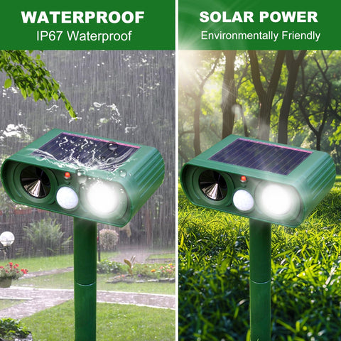 Amsqto motion sensor detects animals up to 33 feet.
