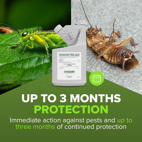 Wisdom Pro L&H product label and safety information.