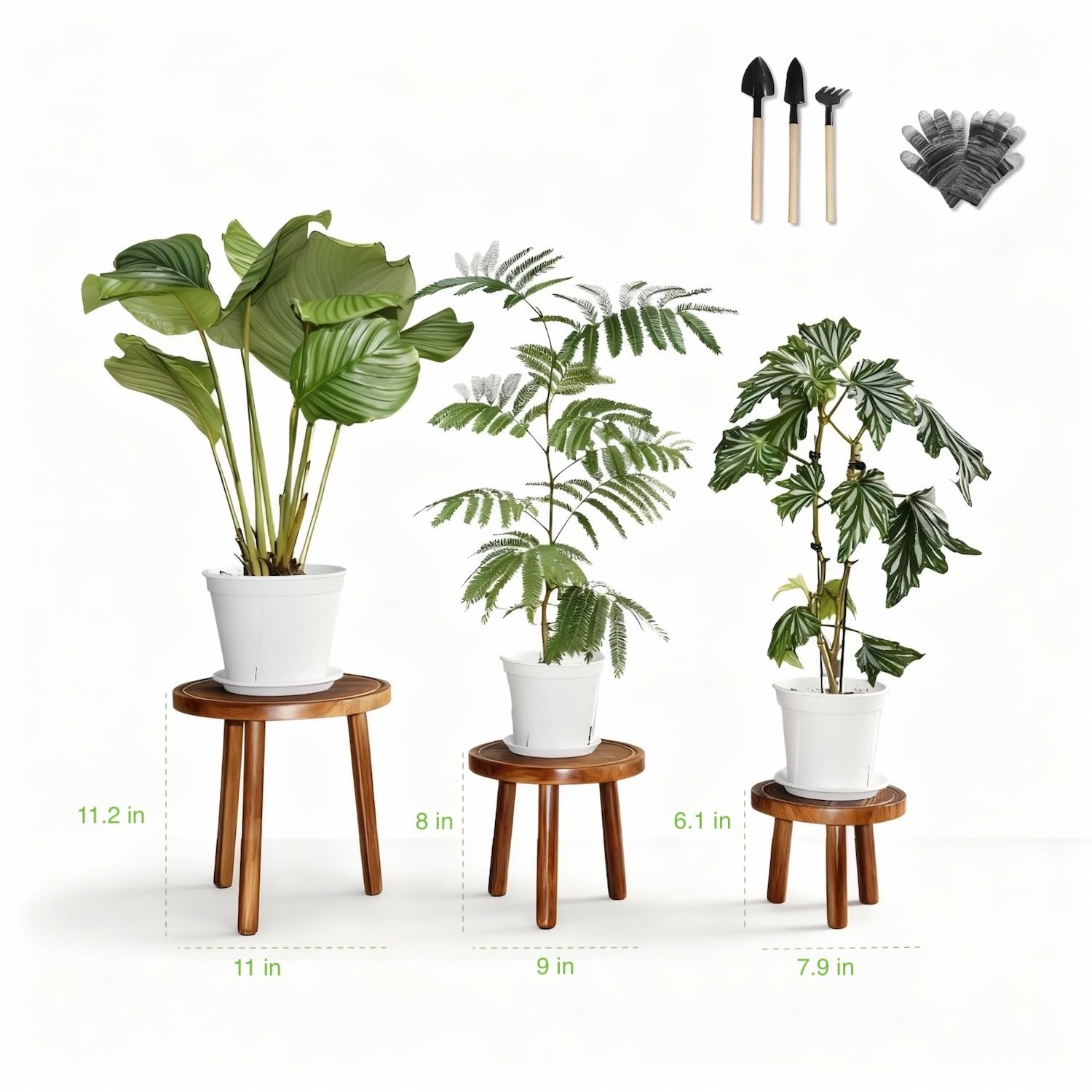 AMVAQKER single plant holder showcases a tall plant on a sturdy base.