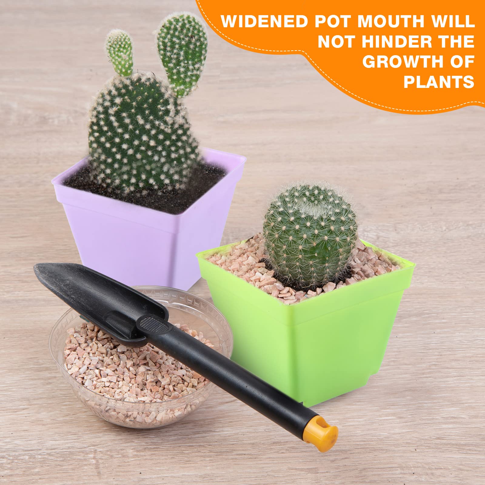 Amyhill indoor succulent pot for stylish, tidy balcony gardens.