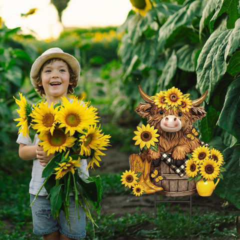 Amyhill multicolor sunflowers paired with Highland Cow create lively garden accents.