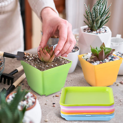 Amyhill saucer-included compact planter keeps surfaces clean during watering.
