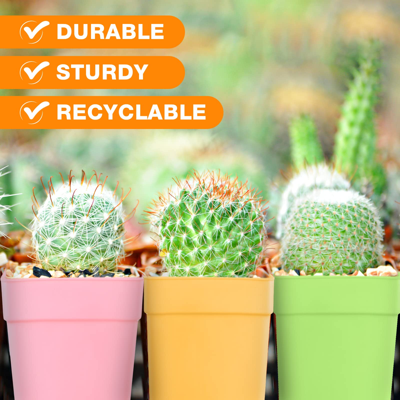 Amyhill small nursery pot pack provides versatile starter kit for herbs.