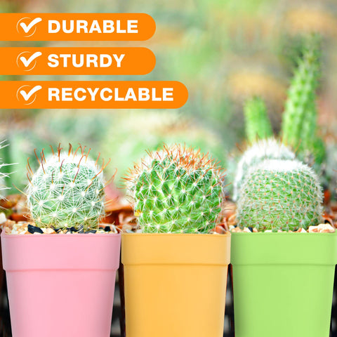 Amyhill small nursery pot pack provides versatile starter kit for herbs.