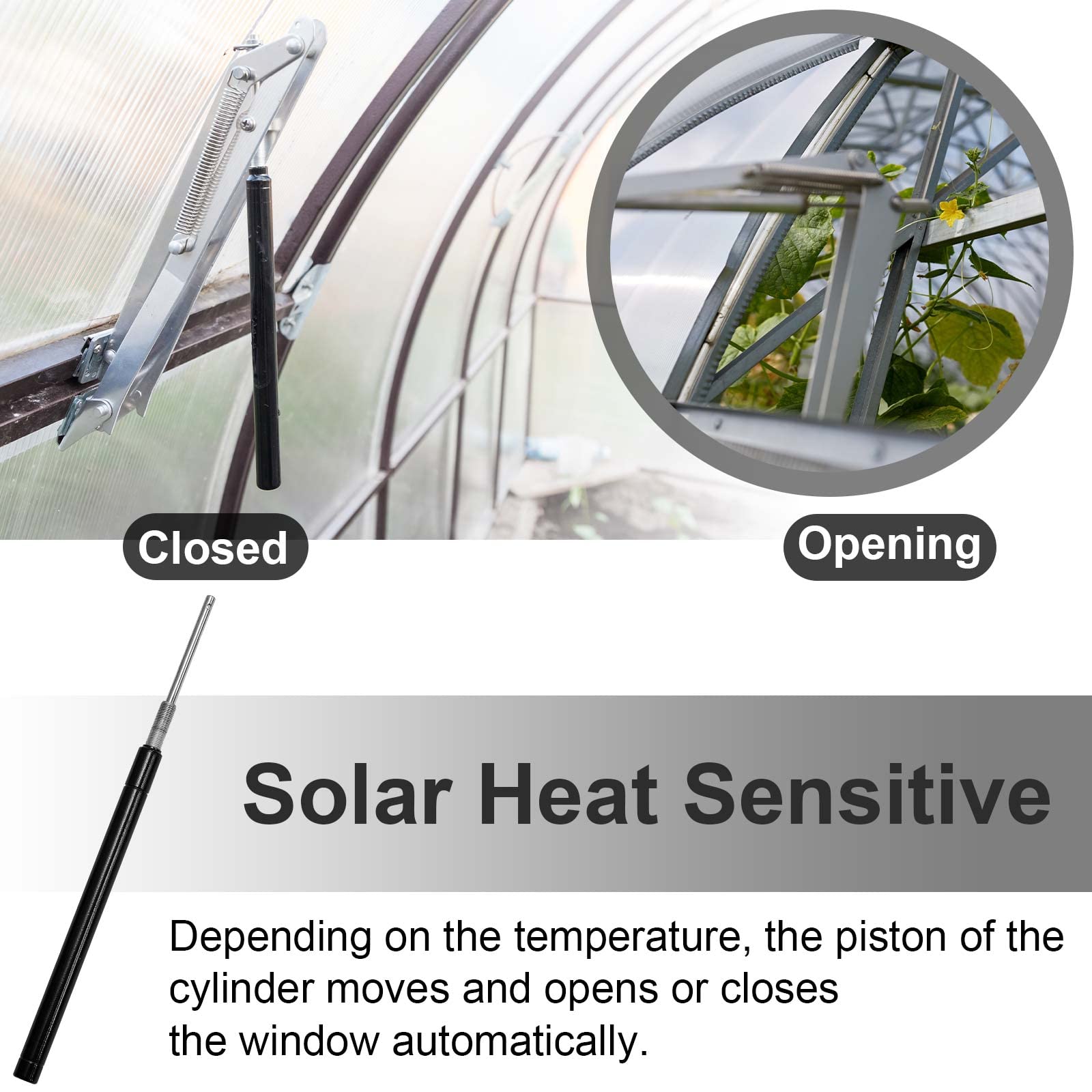 Amylove wind-resilient greenhouse vent in a high-altitude environment.