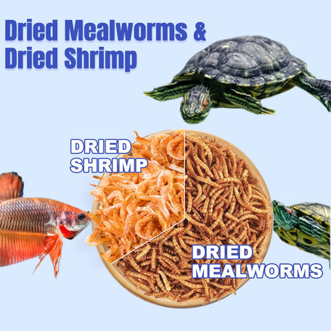 Dried mealworms high-protein treats for chickens and backyard birds by Amzey.