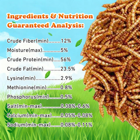 Amzey dried mealworms are non-GMO and additive-free for safe, natural poultry nutrition.