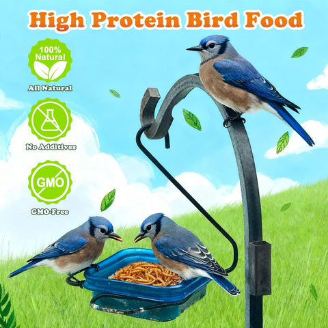Amzey high-protein mealworms provide essential nutrients for chicks, ducks, and garden birds.