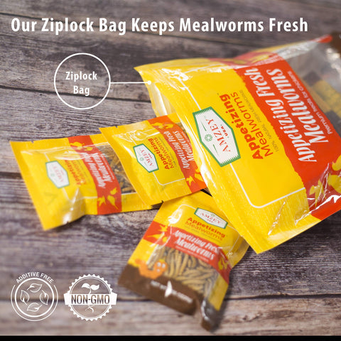 Amzey Mealworms bulk packaging for cost-efficient pet nutrition.