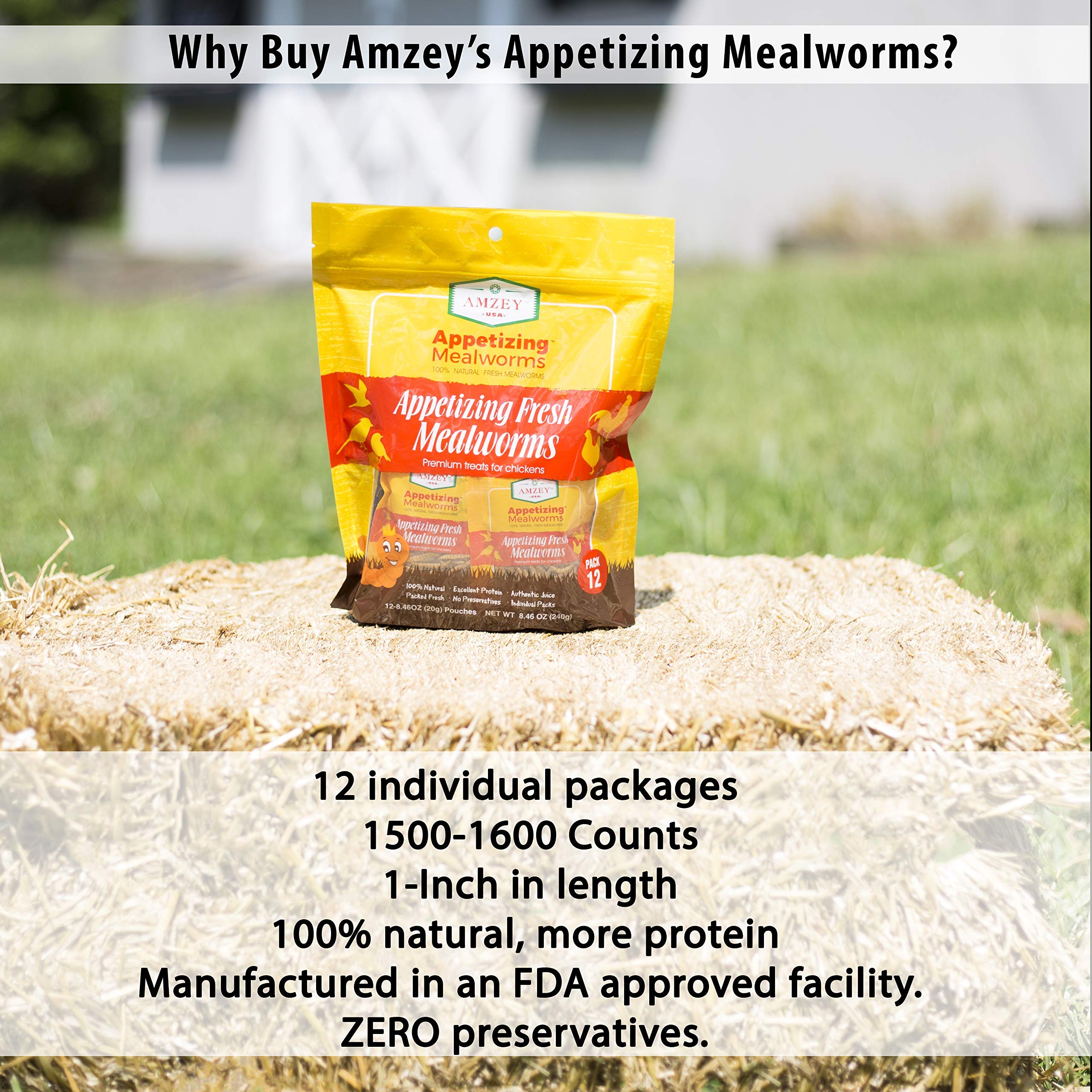 Amzey Mealworms organic-fed treats sourced from fruits and vegetables.
